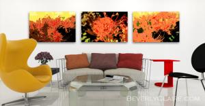 Trio of Resurrection Lilies in a Contemporary Room with Autumn Hues