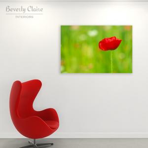 Red Poppy Canvas Print