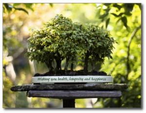 Miniature Green Forest Bonsai